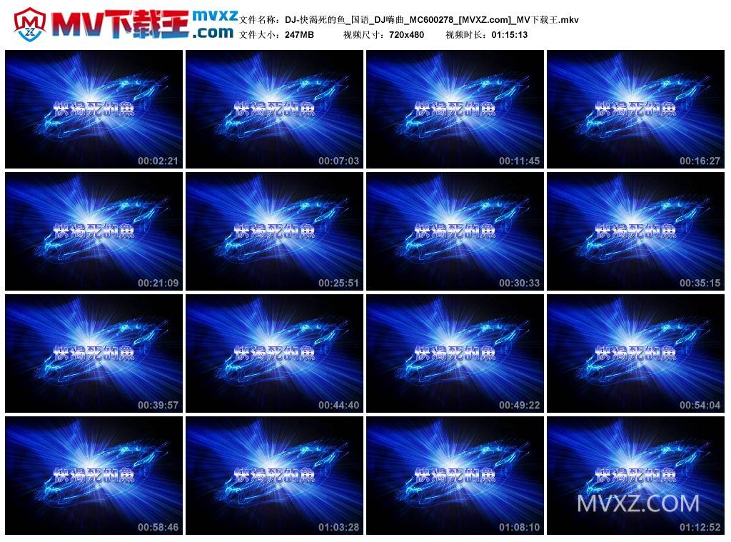 DJ-快渴死的鱼_国语_DJ嗨曲_MC600278